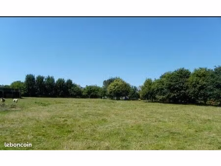 terrain agricole