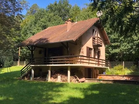 maison en forêt