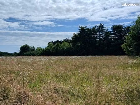 recherche terrain sur assérac