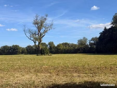 recherche terrain à louer