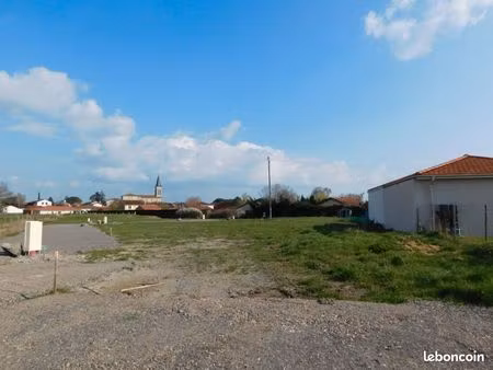 terrain constructible