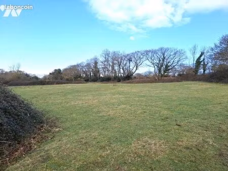 terrain 4587 m² angoville en saire