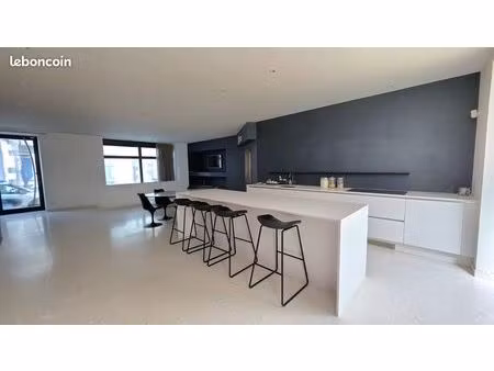 loft/atelier/surface 4 pièces 166 m²