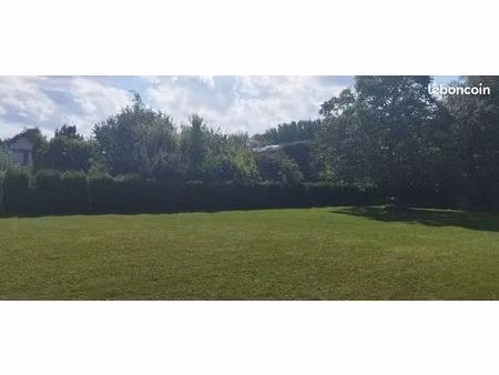 terrain constructible