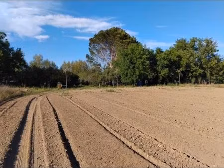 terrain de loisirs
