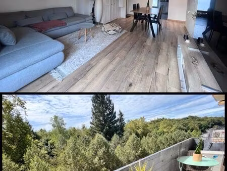 appartement 3 pièces 65m