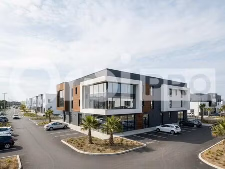 local d'activité 815 m²