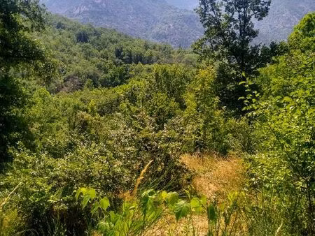 terrain constructible 1370 m² – nature et calme – clara-villerach