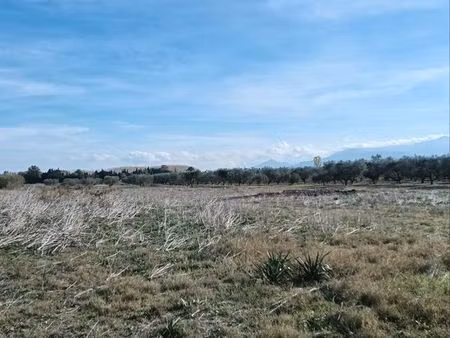 vente terrain agricole