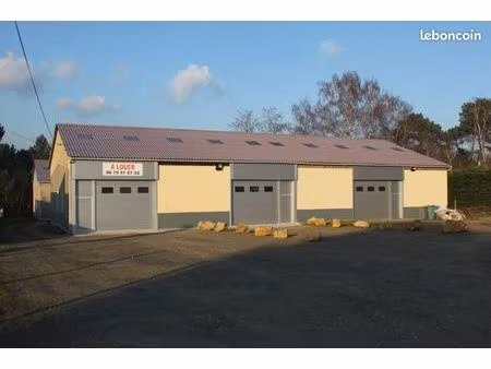 local industriel  atelier entrepôt artisan 130m²
