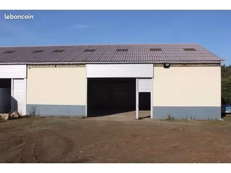local industriel  atelier entrepôt artisan 250m²