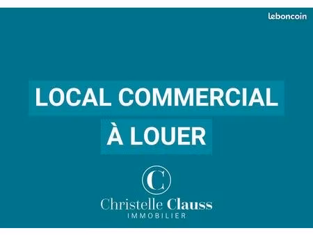 local commercial 44 m² molsheim