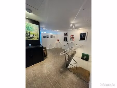 local 110 m² paris