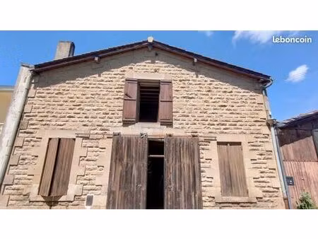 maison ancienne de 400 m²  centre ville  jardin terrasse balcon