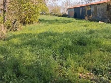 terrain loisir/potager jardin