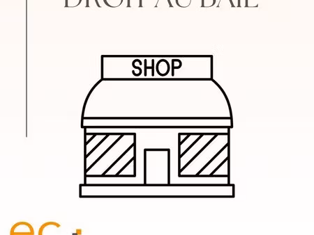 strasbourg hyper centre - boutique 35 m2