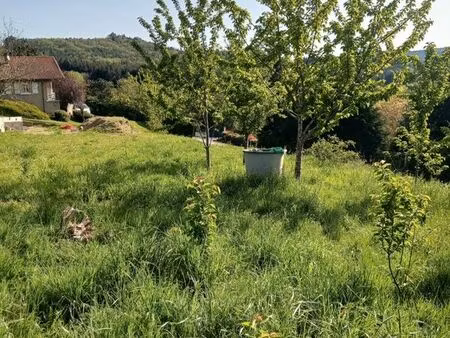 terrain constructible