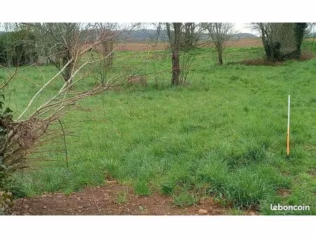 grand terrain à bâtir 2 789 m² – libre constructeur – possibilité 2 à 3 lots – proche nior