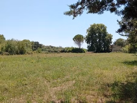 terrain agricole
