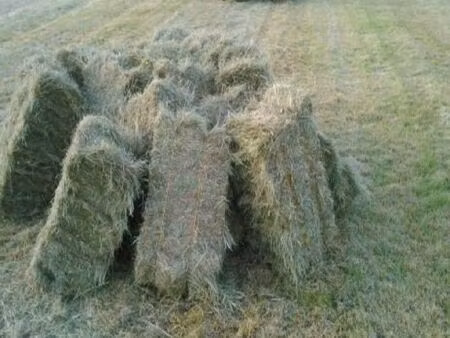 terres agricoles