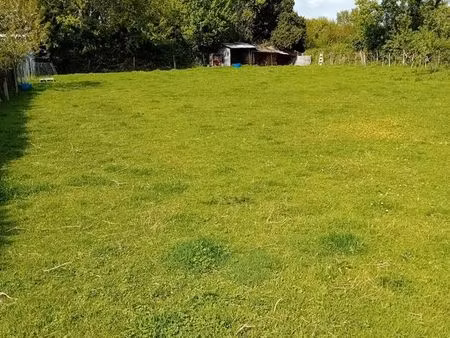 terrain à bâtir