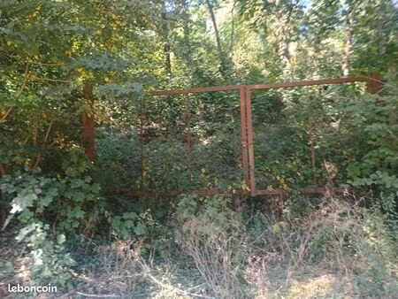 terrain zone naturelle