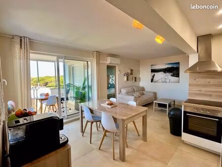 appartement t3 rénové avec vue mer et montagne