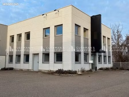 local 325 m²