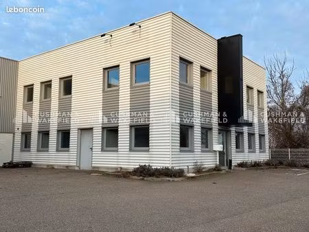 local 325 m²