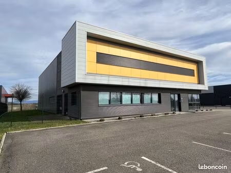 local d'activité 574 m²