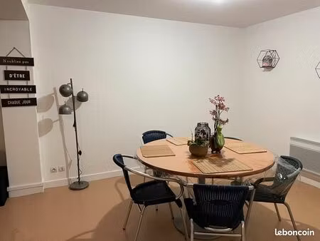 appartement centre ville meublé