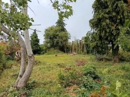 terrain agricole