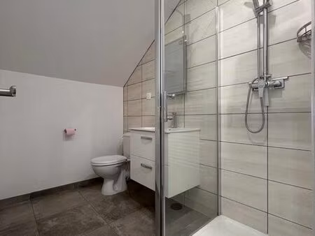 loue superbe appartement lumineux et rénové