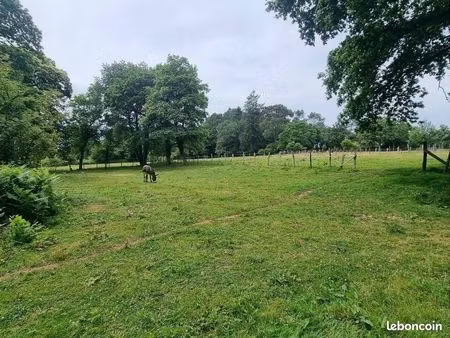 autre 450 m² ploermel