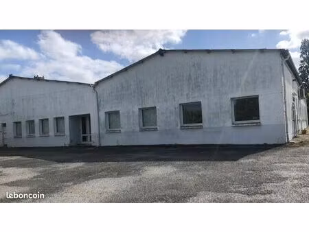 entrepôt commercial / industriel 1115m' - modulable