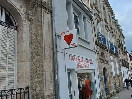 local commercial ou professionnel vannes