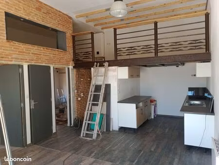 albi loue maison