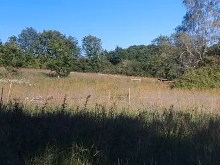 terrain pâture/foin