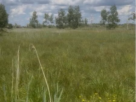 terrain à saint hilaire de riez