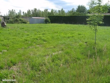terrain constructible