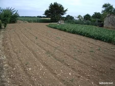 terrain a batir 900m2 85210 thiré
