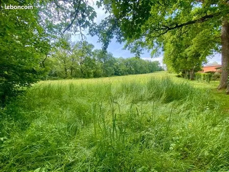 terrain 9 155 m² rieumes
