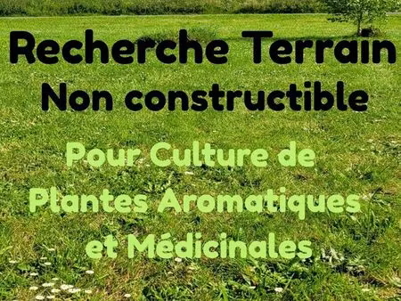 recherche terrain agricole