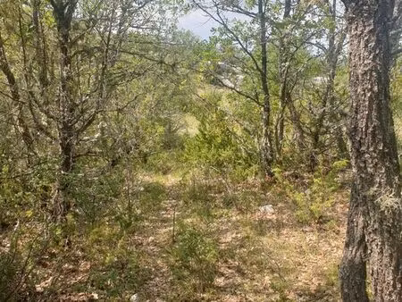 parcelle de forêt en zone naturelle