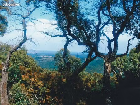 terrain roquebrune-sur-argens