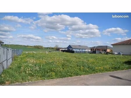 vente d'un terrain communal à baudricourt (88500 - vosges)