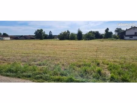 beau terrain constructible plat