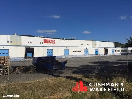 entrepot - logistique 6526 m² grisolles