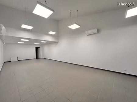 local 84 m² plaisance du touch