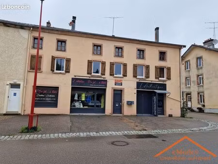 immeuble 507 m² docelles